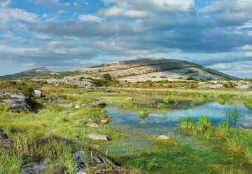 Фото номера Doolin Town Centre Bungalow Дома для отпуска Doolin Village Lodges г. Дулин 16