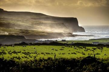 Фото номера Doolin Town Centre Bungalow Дома для отпуска Doolin Village Lodges г. Дулин 14